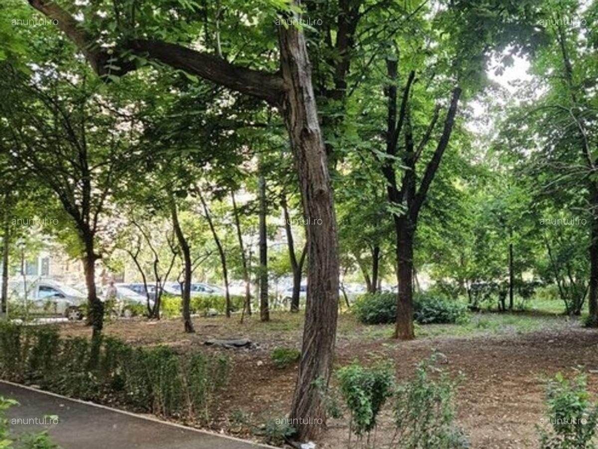 Drumul Taberei Favorit Metrou Bl TIP OS - 1