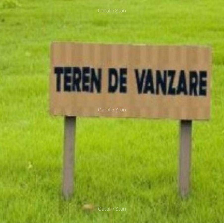 Teren intravilan 33300 mp * Oportunitate Tulghes * Jud. Harghita * Negociabil - 2 Teren intravilan 33300 mp * Oportunitate Tulghes * Jud. Harghita * Negociabil - 2