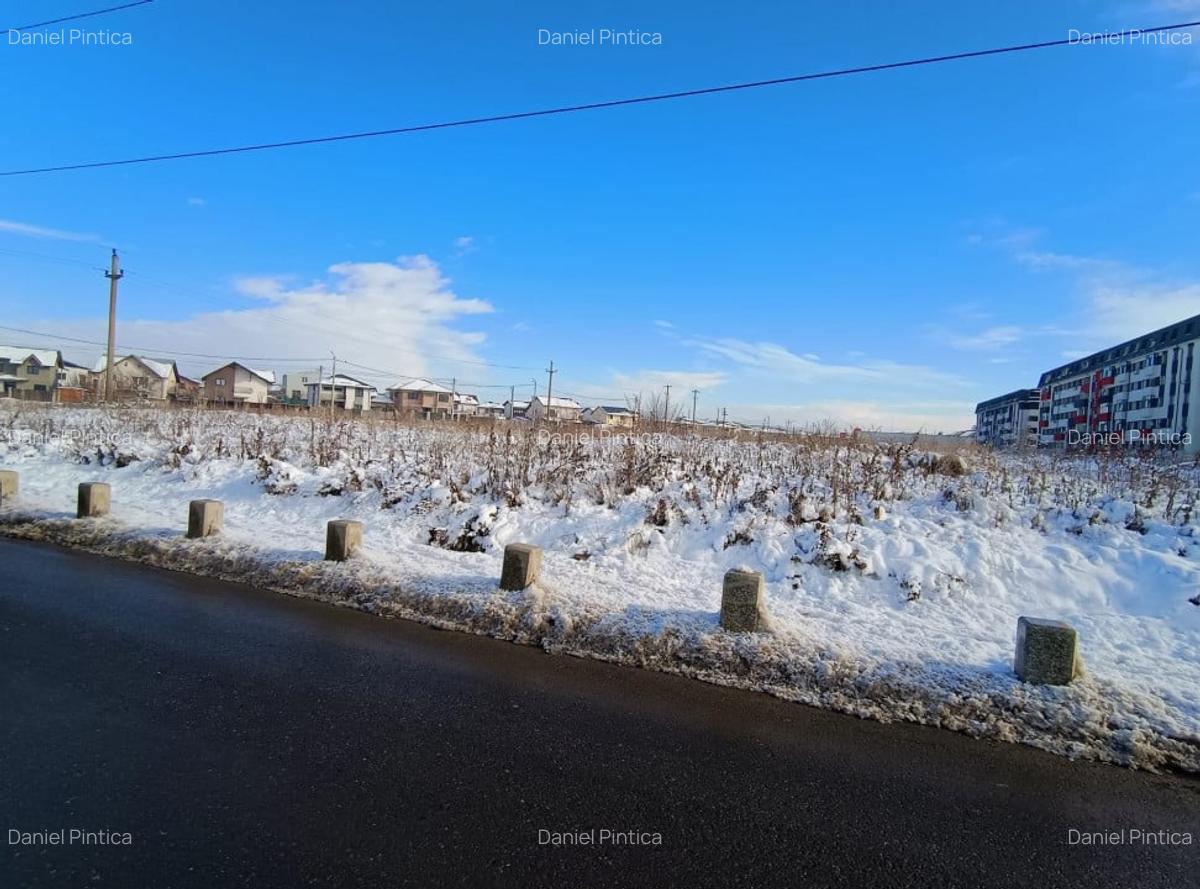 Teren de vanzare sau inchiriere Chiajna/ perfect pentru casa - 4