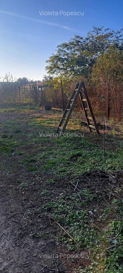 Casă cu 7 camere în Iosefin - 9