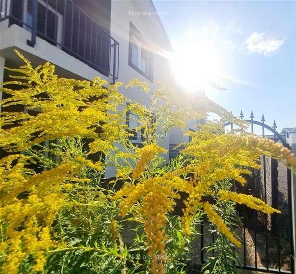 Confort si relaxare:casa noua,5 camere,curte si terasa amenajate,Izvor,Tarlungen - 28