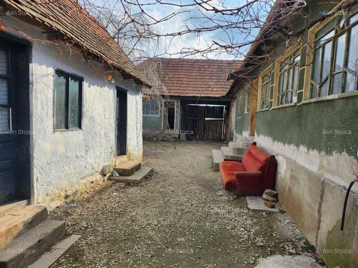 Vand casa Tau?, Arad - 2