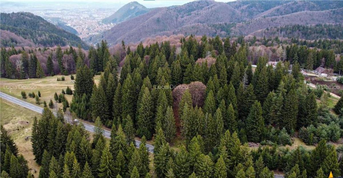 FILM! 1.000 mp,PUZ,regim P 2 M,destinatii turistice rezident - 13