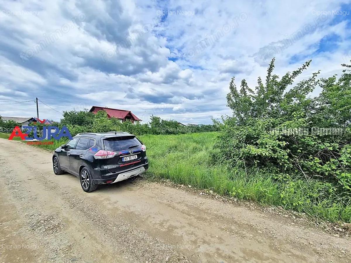 AZURA Imobiliare - Teren Mosoaia - 4