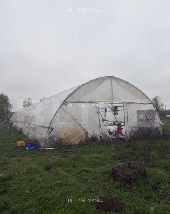 Teren intravilan agricol, sere, anexa agricola, 11500 mp ter - 16