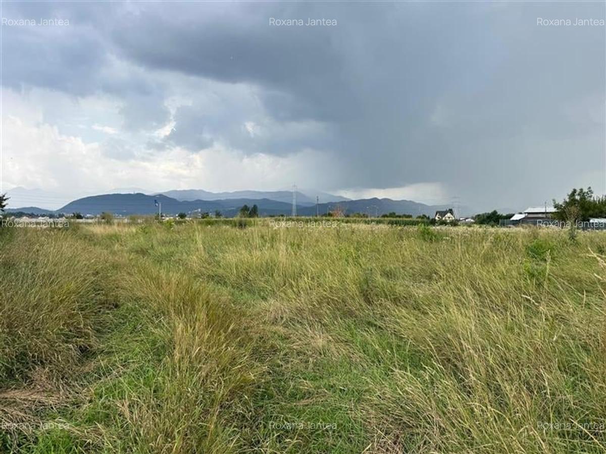 Teren intravilan 515 mp cu PUZ, Stupini, Brasov - 8