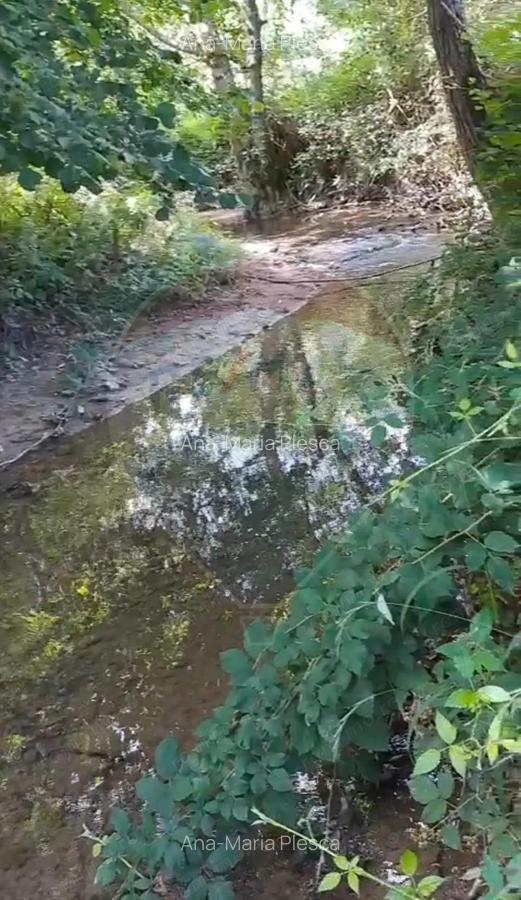 Casa langa parau-sat Brusturi, com. Halmagiu - 10