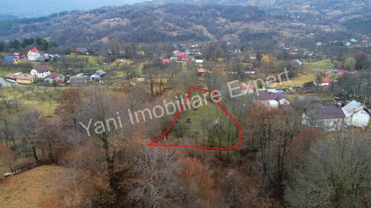 Teren de vanzare in comuna Arefu, jude? Arge?. - 9