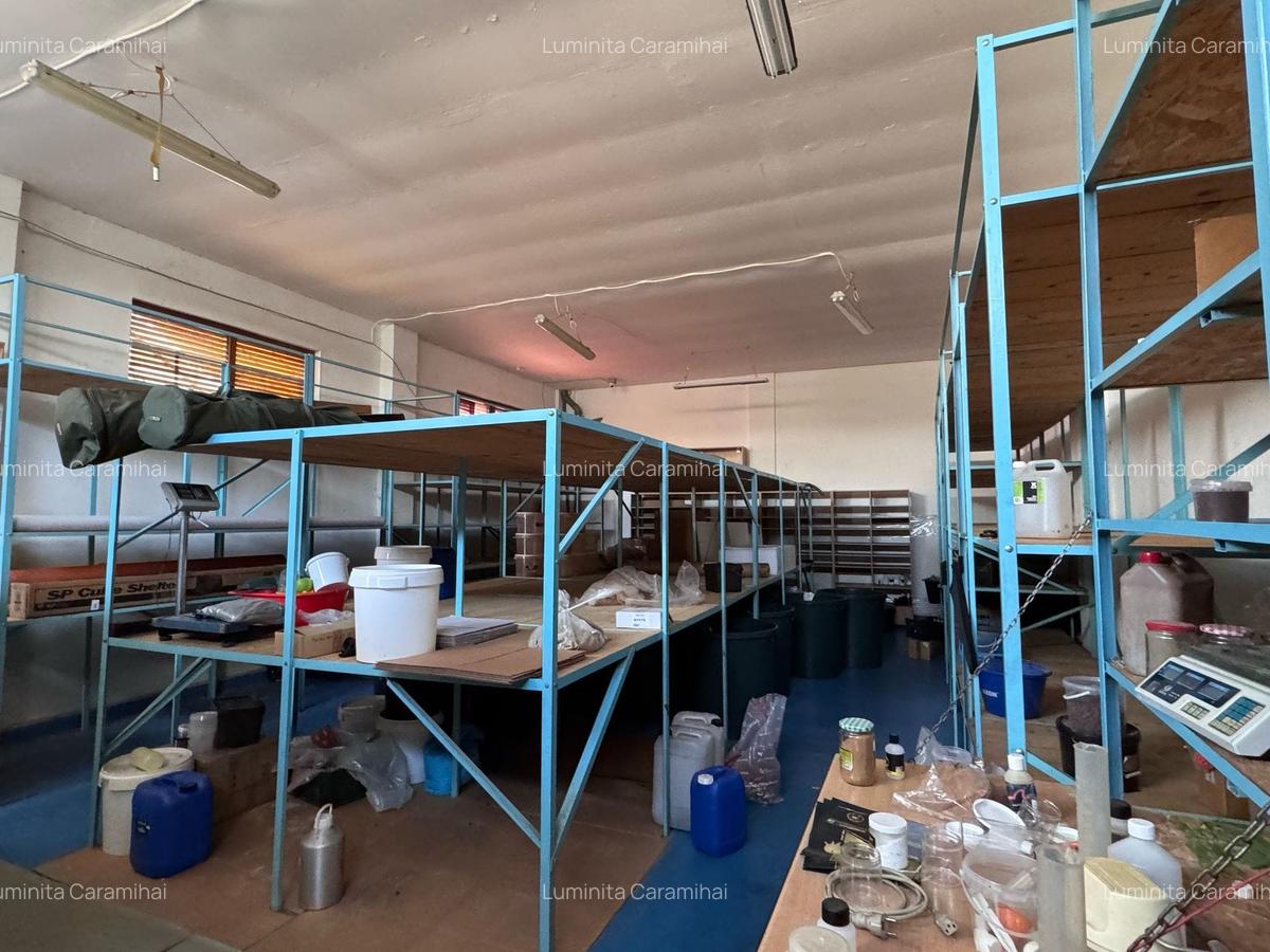 Voluntari zona Primarie inchiriere spatiu parter - 4