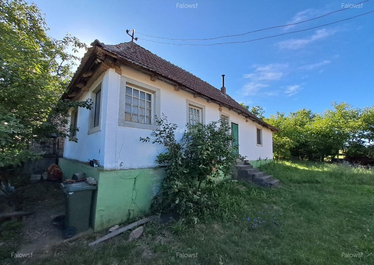 Casa Dragesti, Bihor, 25 minute de Oradea - 6