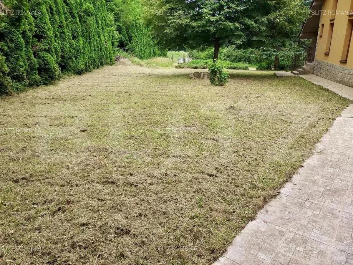 Casa de Vacan?a pe Valea Ighielului 3 camere, 2500 mp curte - 1