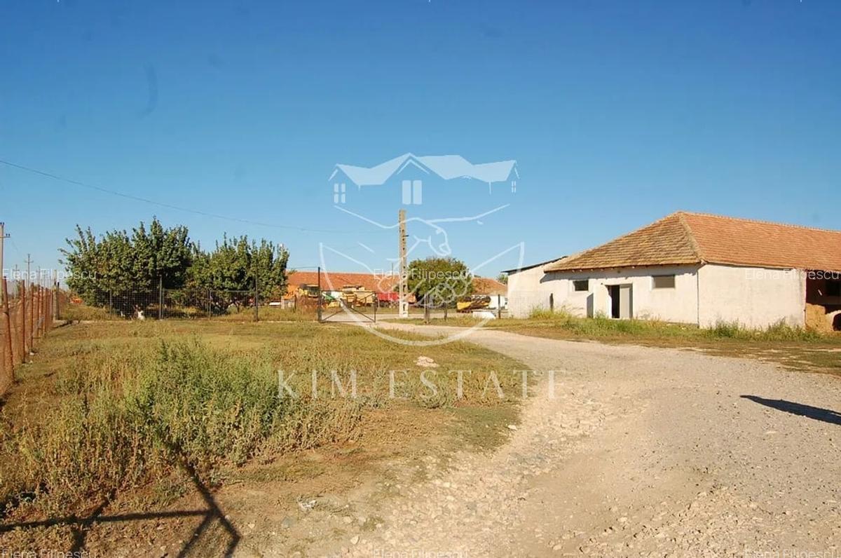 De vanzare ferma N.Balcescu - 7