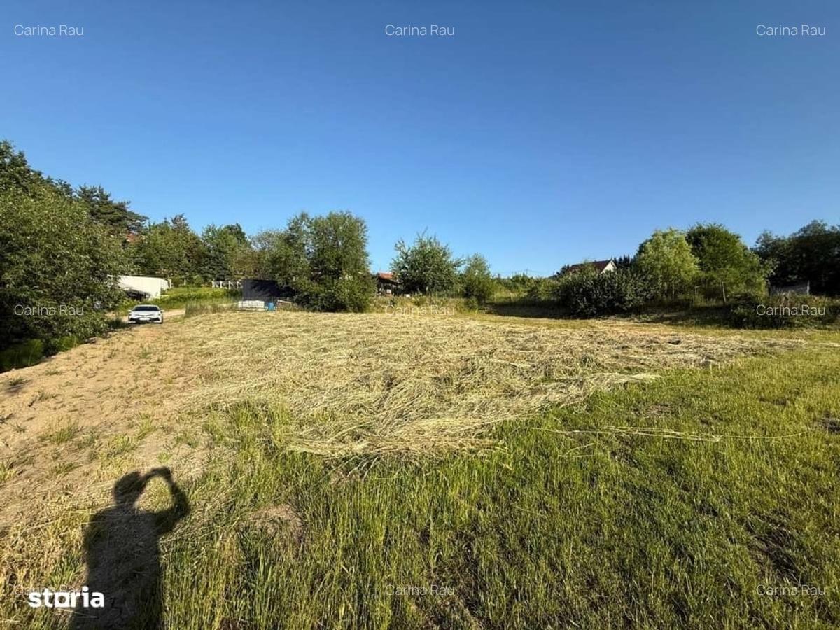 Teren de vânzare intravilan Cisnadioara - certificat urbanism - 5