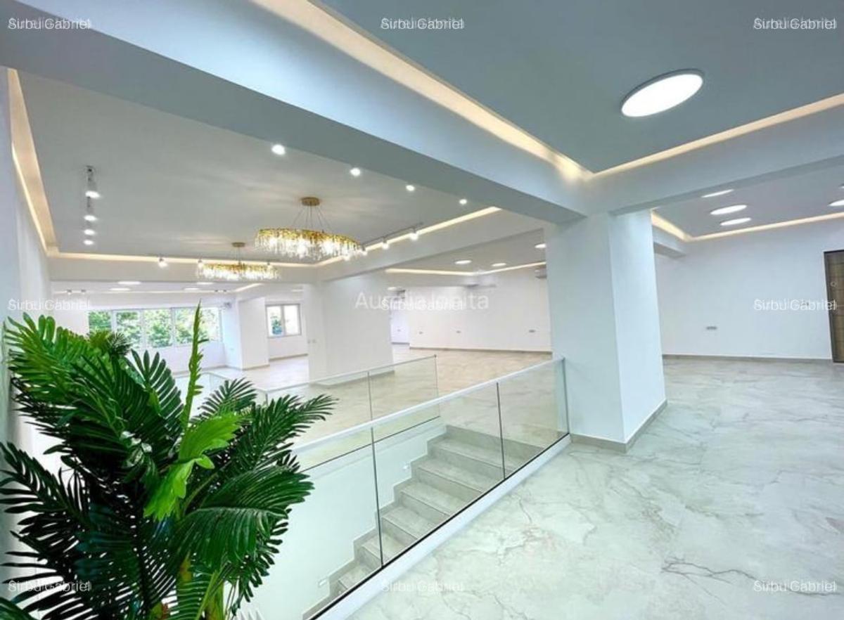 Spatiu comercial stradal de vanzare Colentina - 2