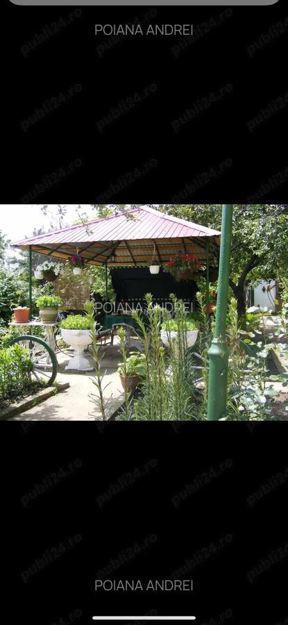 Casa de vanzare , Cetate , Dolj - 2