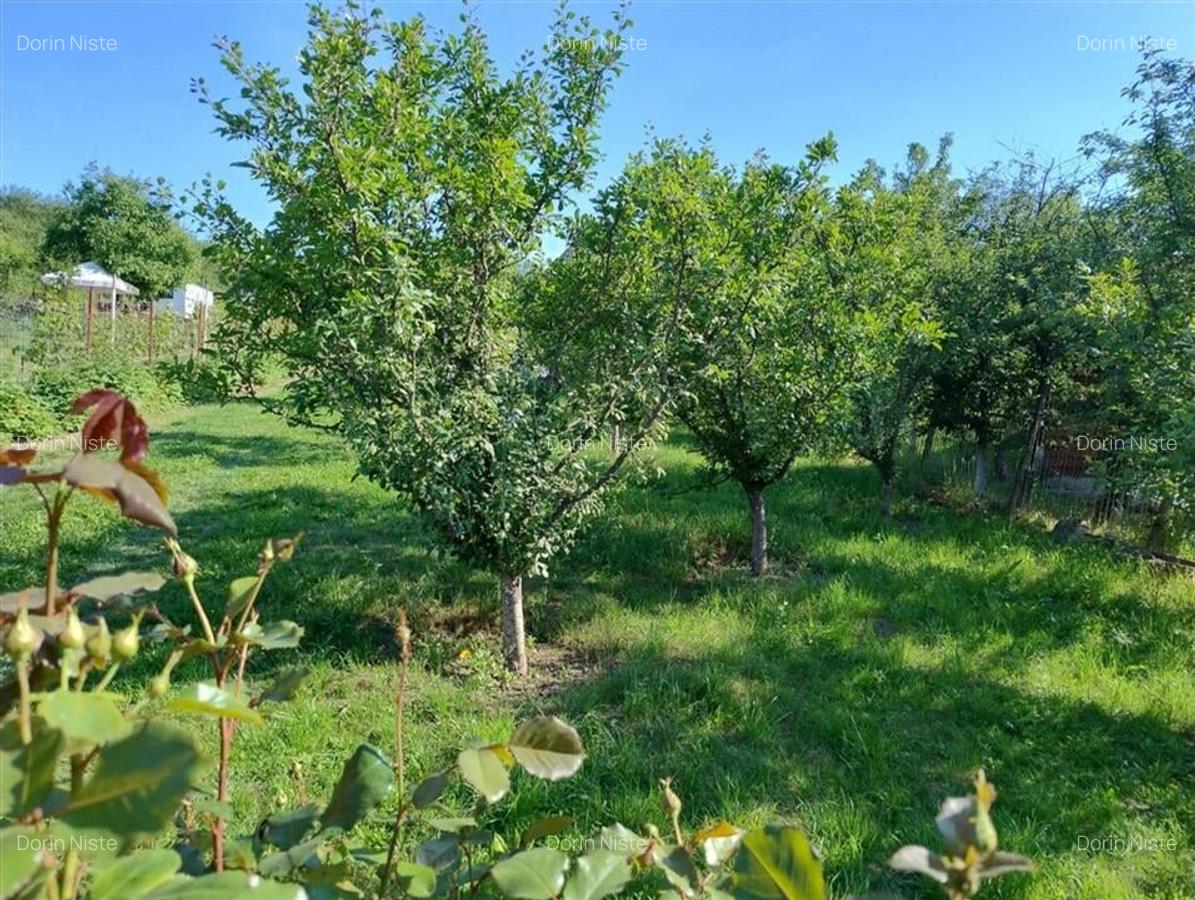 RECO Teren intravilan, Podgoria - 1