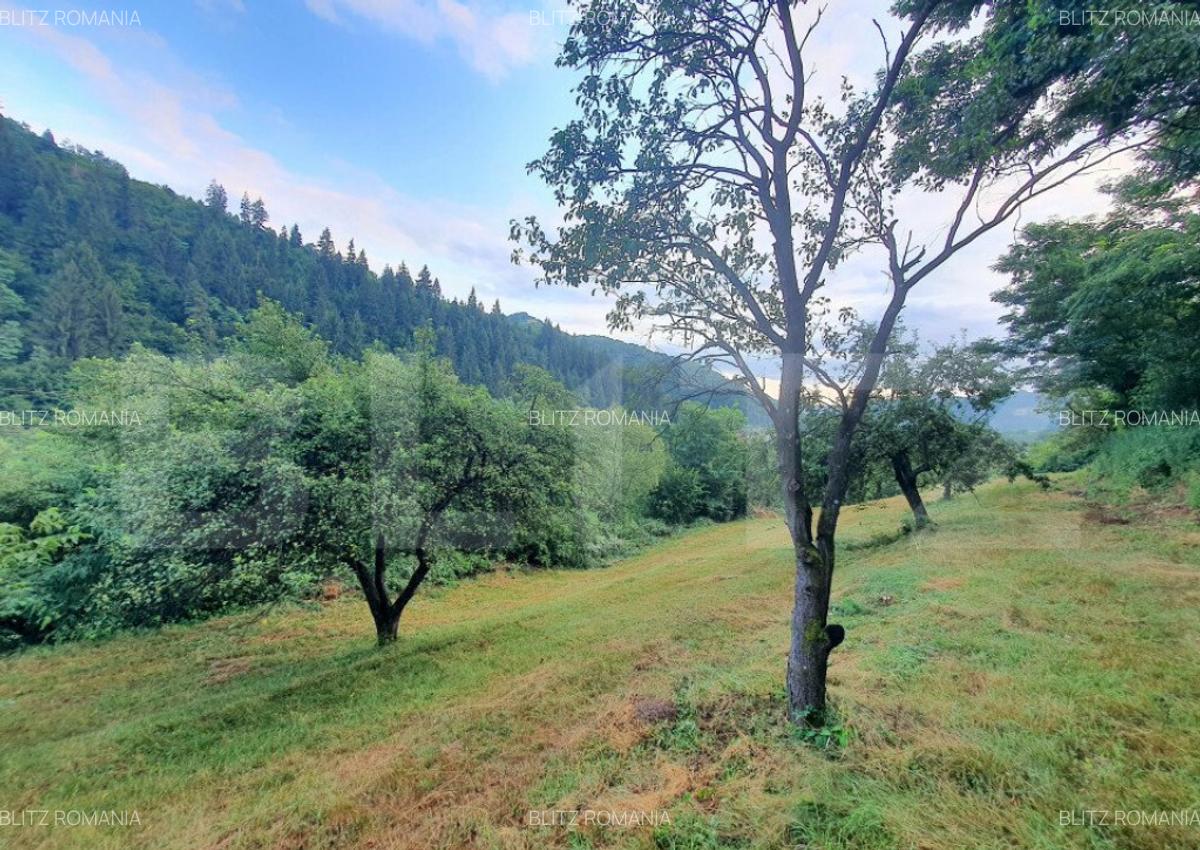 Teren intravilan, 31 ari, Ilva Mica, zona montana - 8