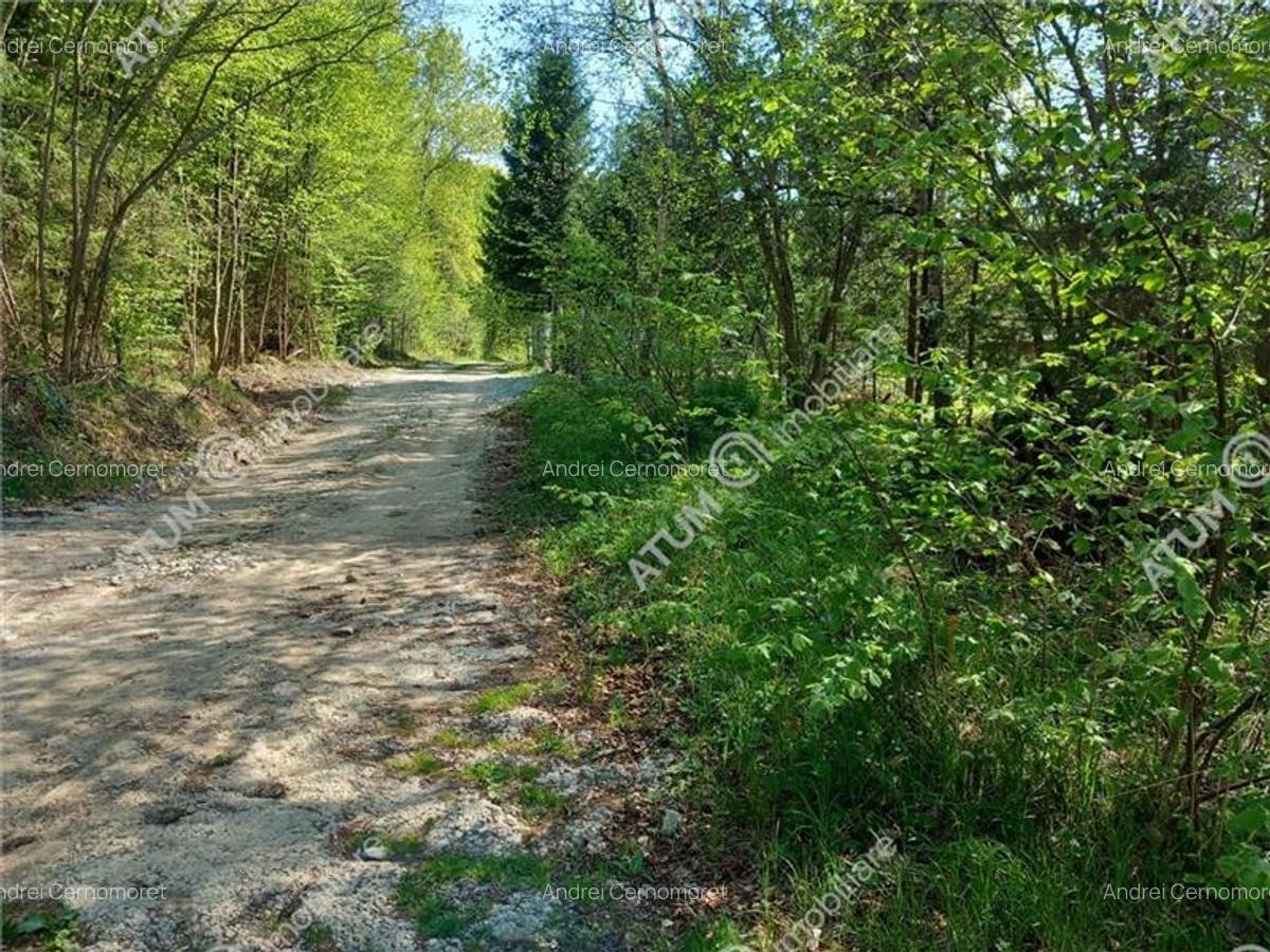 Teren intravilan 1300 mp de vanzare pe Valea Avrigului in zona Mlaci - 1