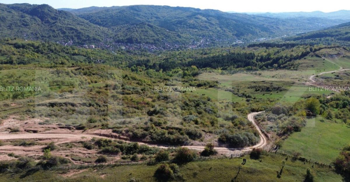 Teren extravilan, 41.631,00 mp, zona Pietrosita - 8
