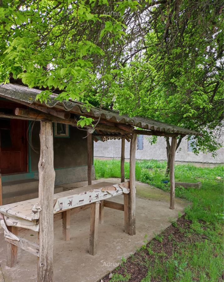 Casa si teren 826 mp Boldesti-Gradistea, Prahova, Str. Cameliei. - 6