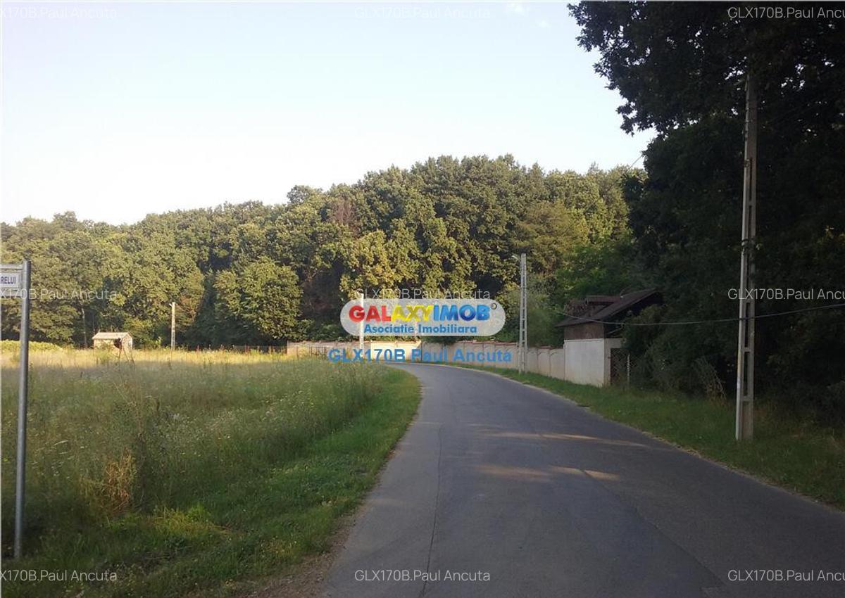 Teren Impadurit 1 Ha Corbeanca aviz defrisare pnt 2 case - 2