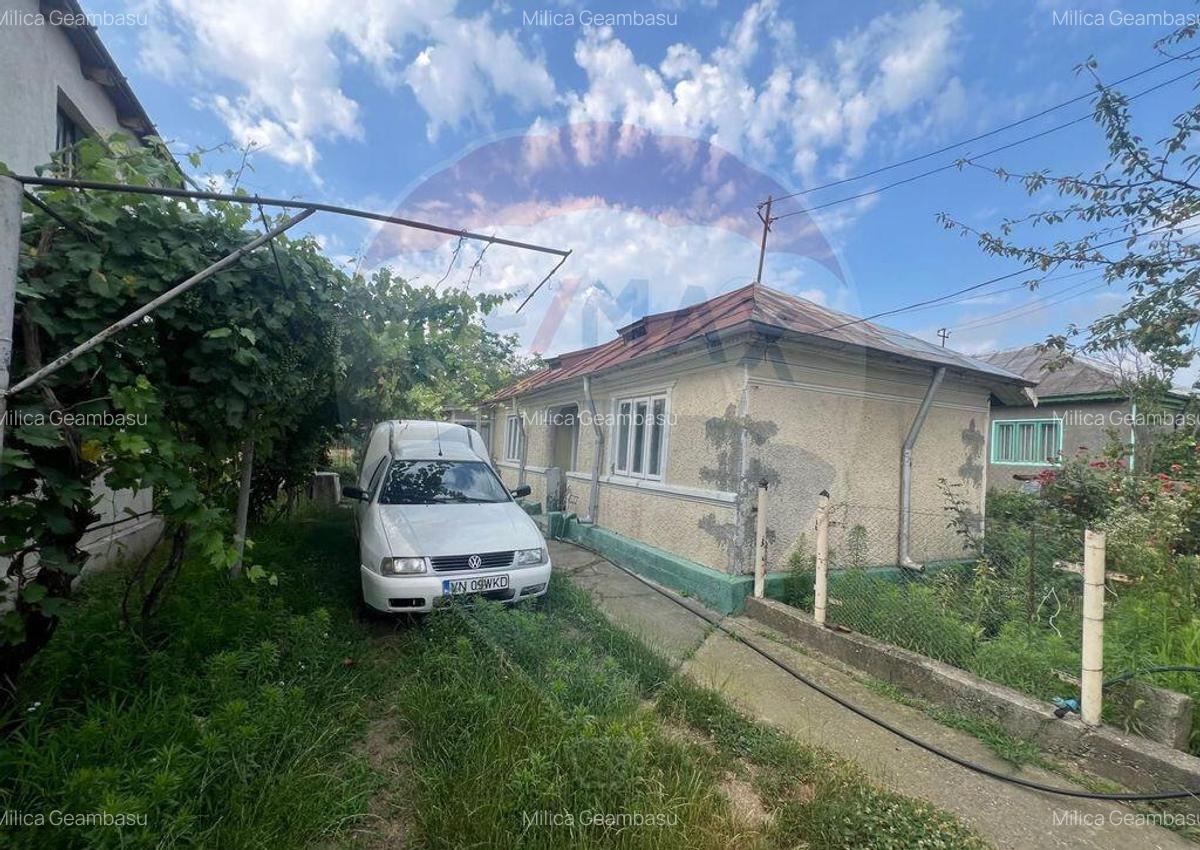 Casa -magazin Golesti - 2