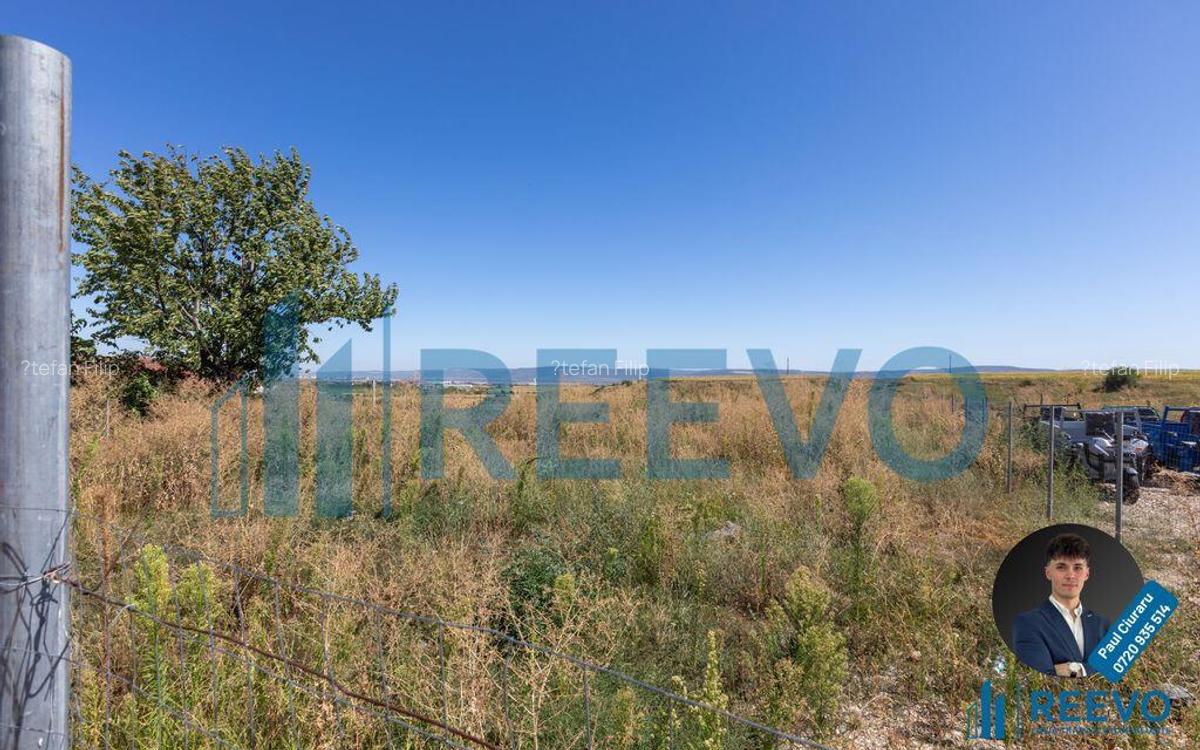 Hala de inchiriat, Sat Valea Seaca, Com. N. Balcescu,... - 13