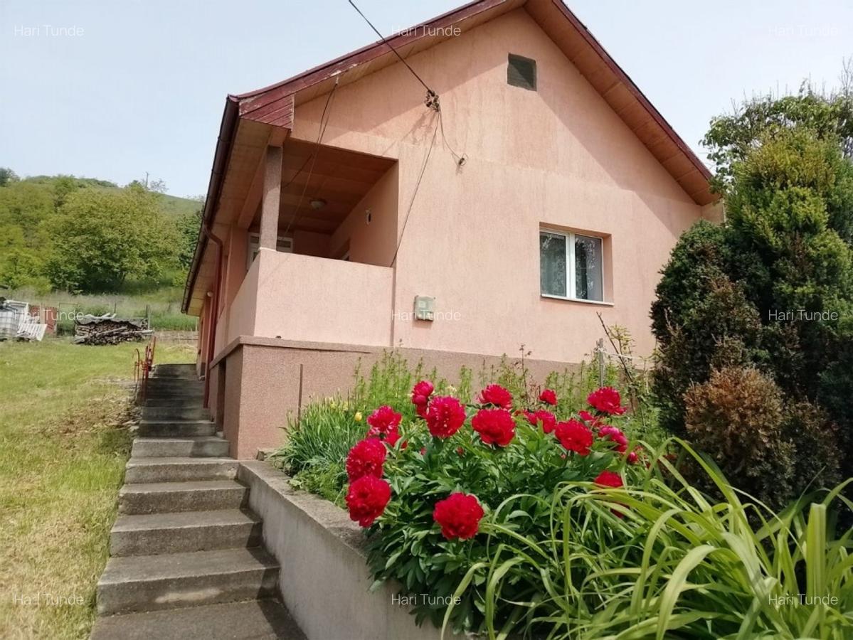 Vanzare casa individuala  in localitatea Suceagu, la 10 km de Cluj - 10