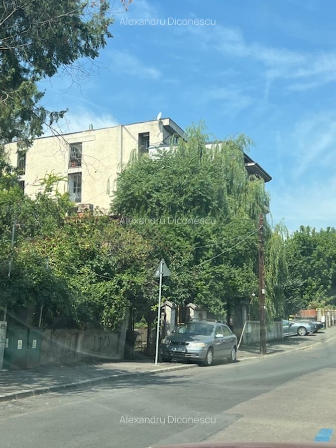 Cotroceni Nicolae Paulescu - 1