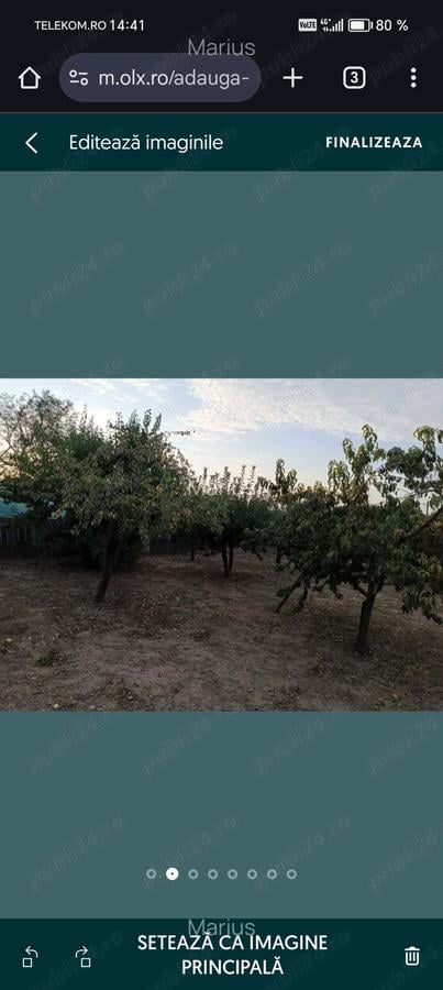 Vand Casa Segarcea Deal! - 8