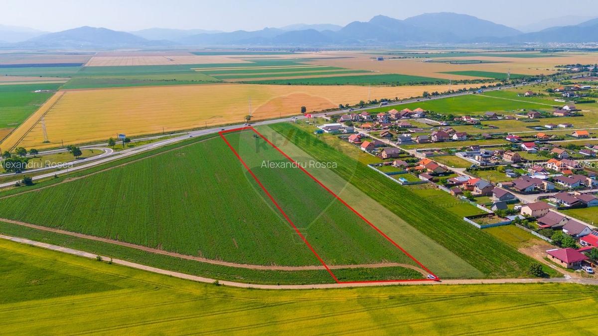 Teren Intravilan pentru dezvoltare imobiliara 15.600mp/Harman - 5
