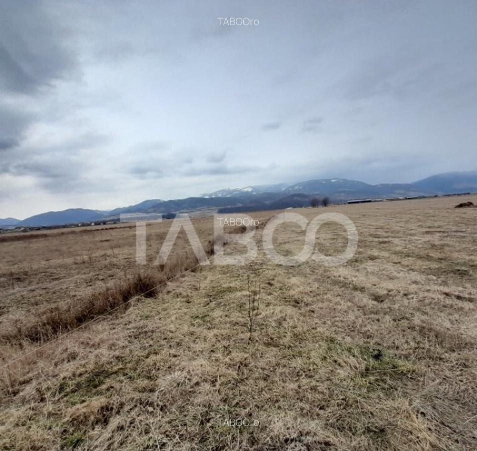 Teren intravilan 15.000 mp Front 47 m DN7 in Talmaciu zona i - 4