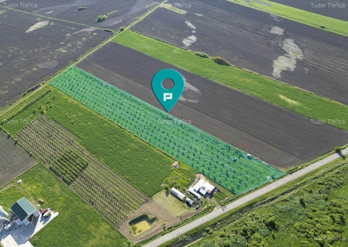 Livada de nuci ?i pruni 2.4ha in Varia?ul Mare - 1