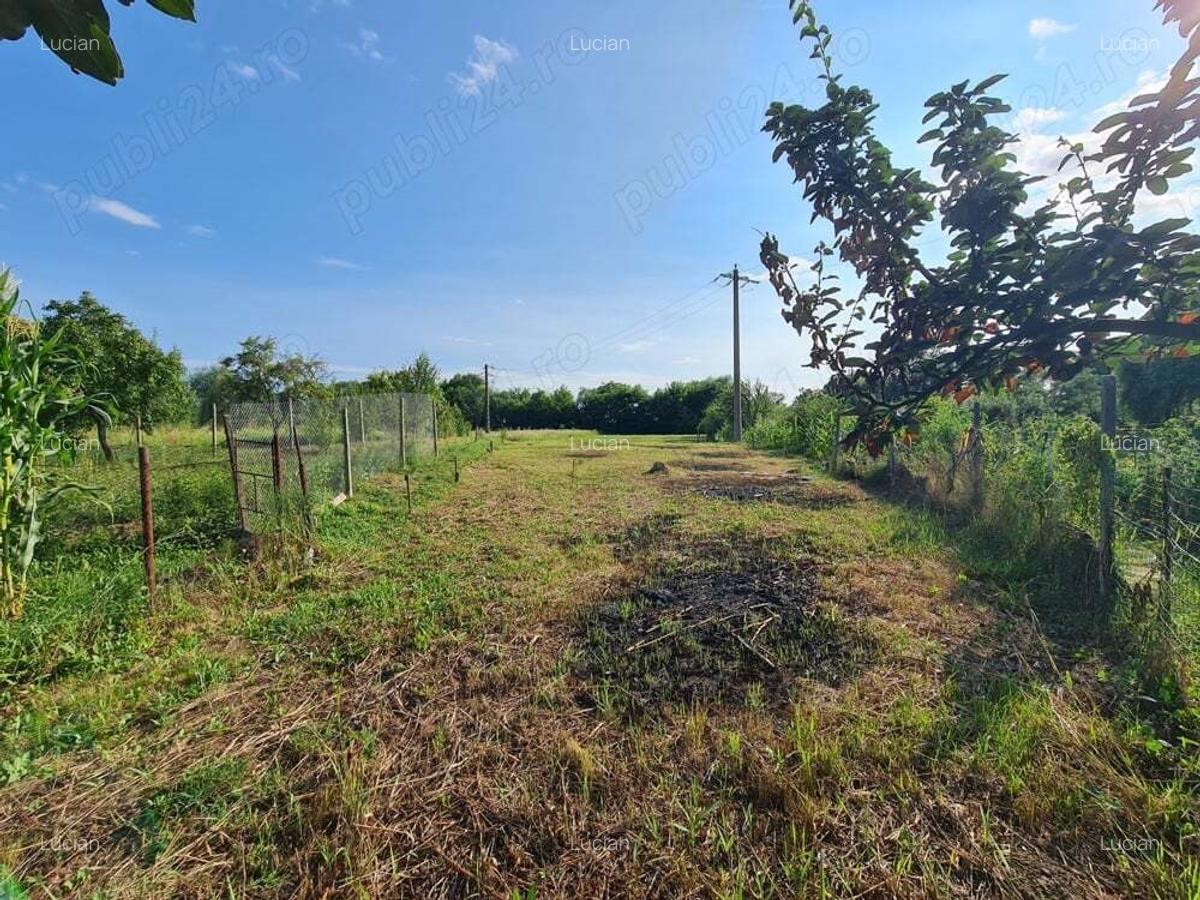 Casa si teren (79 km Bucuresti - 32 km Ploiesti - 17 km Targoviste) - 5