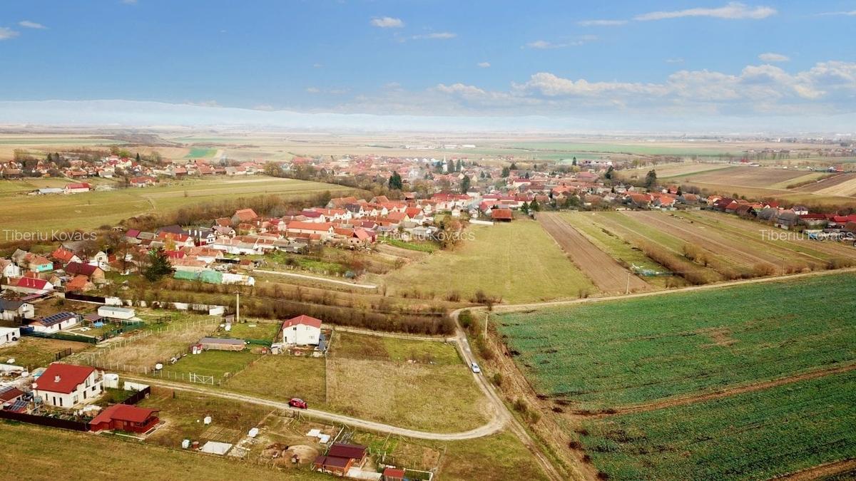 Parcele cu P.U.Z Halchiu - 6