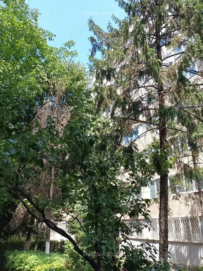 Inchiriere apartament 2 camere - 9