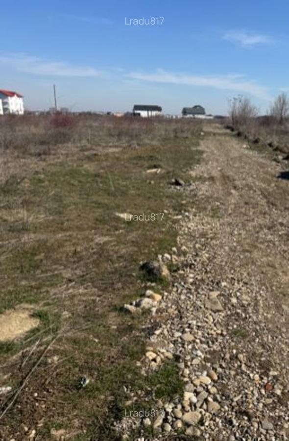 Teren 500 mp Magurele - Cartierul Florilor - 1