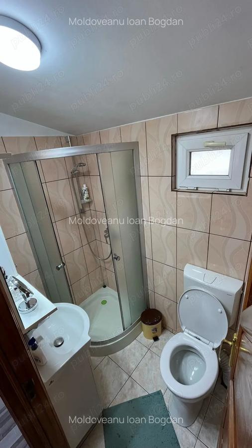 Casa de vanzare Zona Titulescu P+M - 8