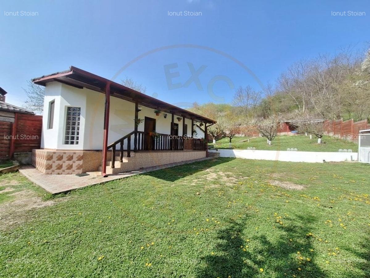 Casa de Vacanta - Un Colt de Rai , Stefanesti-Arges - 2