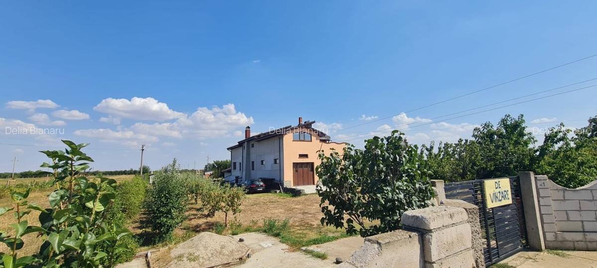 Casa P+M Cosmesti - 2