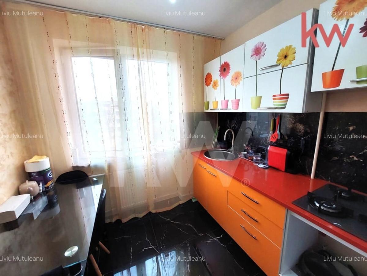 Apartament 2 camere, semidecomandat, Calea Severinului, deosebit - 8