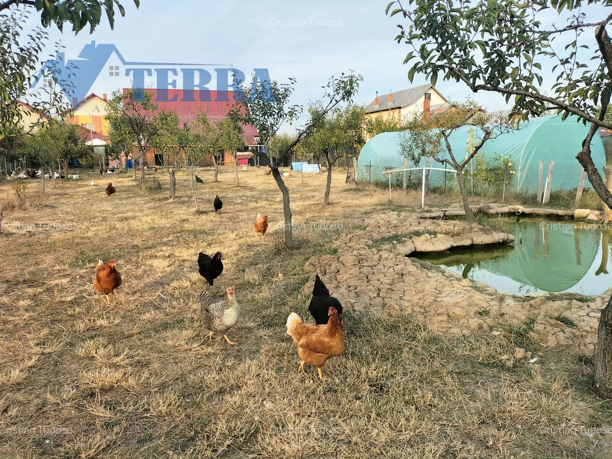 Proprietate deosebită, aproape de Pitești - Poiana Lacului, jud. Argeș - 4