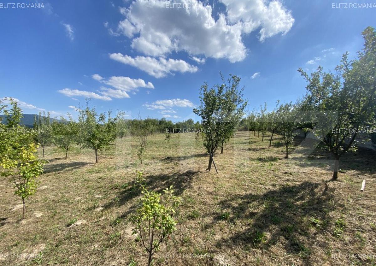 Teren intravilan in Aghires in suprafata de 1500 mp - 4