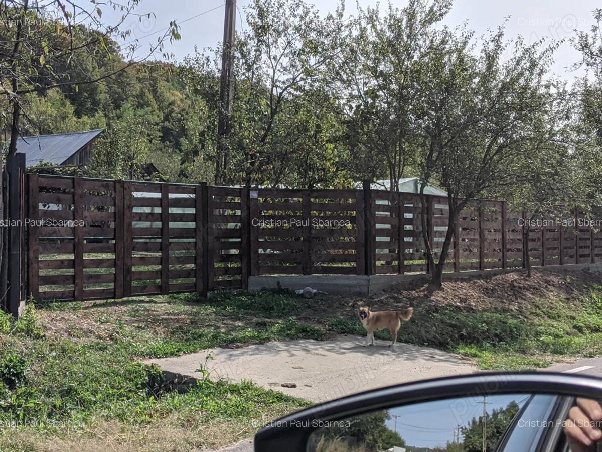 Vand proprietate in suprafata totala de 4283 mp in comuna Cotmeana - 4