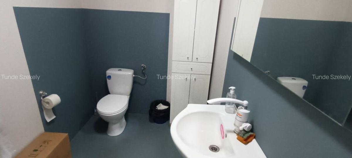 Spațiu comercial, 480 mp în Central - 10