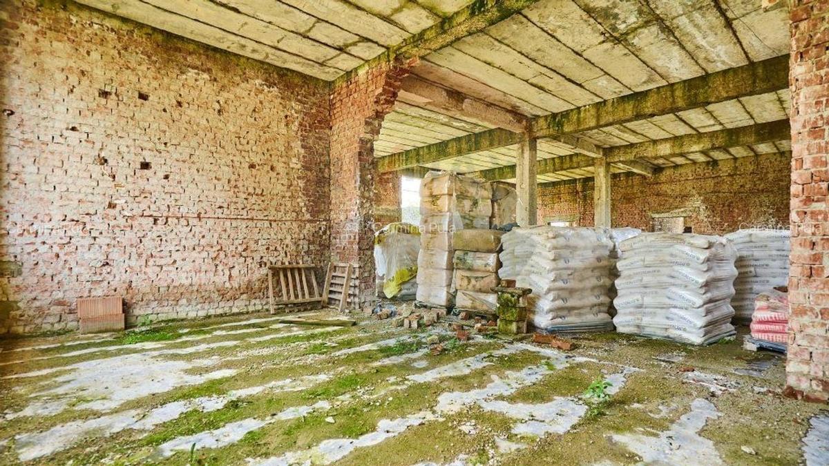 Comision0 % Oportunitate investitie Sercaia/Tineri doritori de altceva - 12