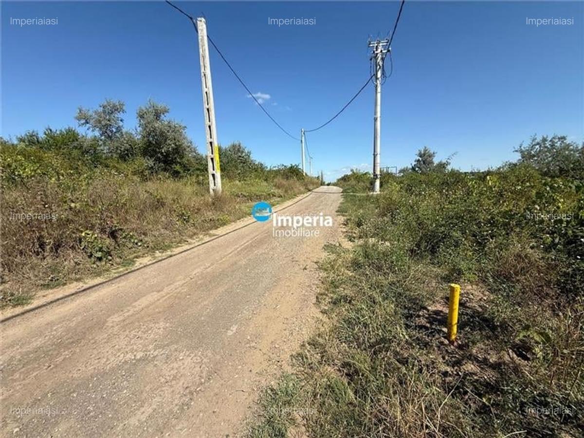 Teren de vanzare in Iasi, zona Sorogari- Aroneanu - 3