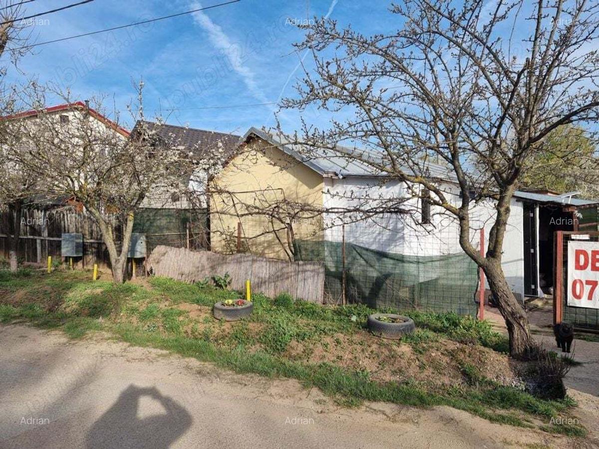 Casu?a cu teren , Ciolpani - Piscu - 8