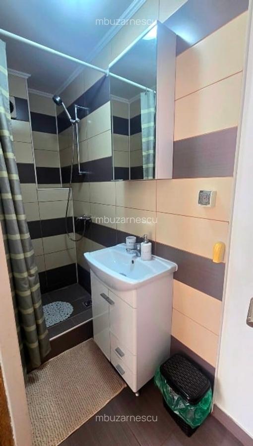 Inchiriez ap. 3 cam Pta Victoriei-Titulescu,Veronica Micle,renovat complet,full - 10