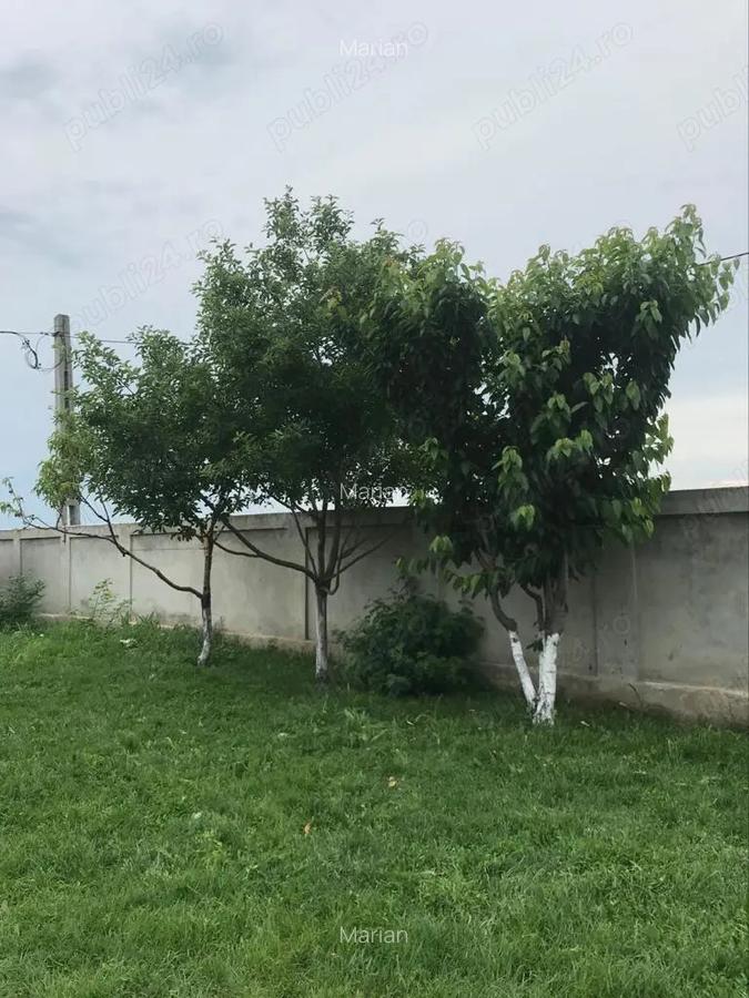 Casa de vanzare Lehliu-Gara, sat Razvani. - 5